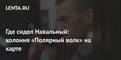 Изображения Волков С Надписью в стиле арт