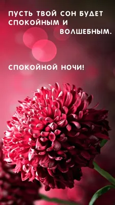 Волшебная ночь: фото в формате Full HD для скачивания