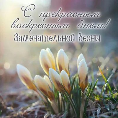 Весенние картинки: новые изображения для скачивания