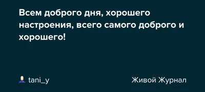 Фотографии, передающие позитивные вибрации