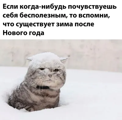 Застольные фотографии, которые развеселят вас