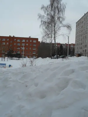 Новые фотографии зимы в марте в HD качестве - скачать бесплатно