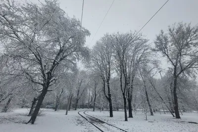 Картинки зима в марте: красота природы