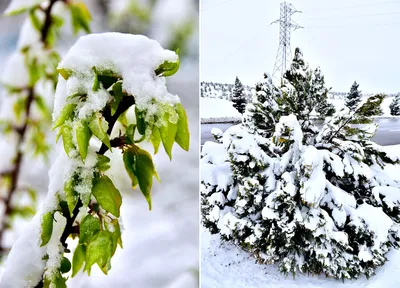 Удивительные фото зимы в марте