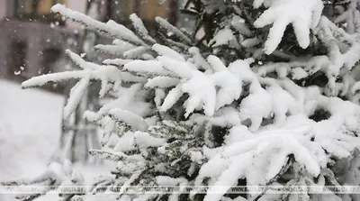 Зимние фото в марте: встреча с холодной природой