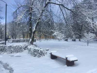 Уникальные картинки зимы в марте для скачивания