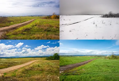 Фотографии весны: волшебство расцветающей природы