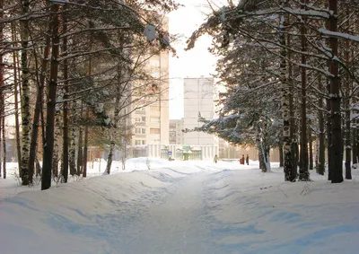 Фото утреннего города в зимней атмосфере