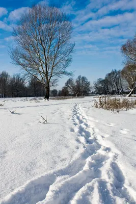 Фотографии зимнего утра в городе - скачать бесплатно в хорошем качестве