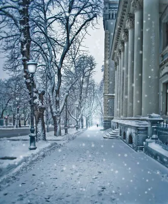 Фотографии зимнего утра: волшебство и холодная красота