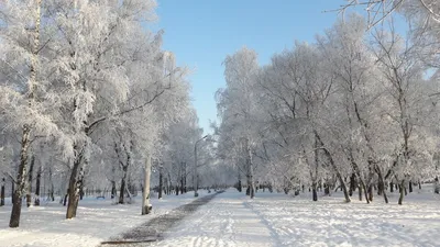 Утренние пейзажи: зимняя картина в городе