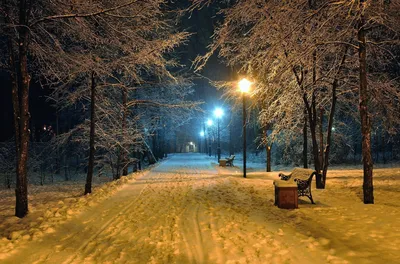 Фото зимнего вечера в городе - скачать бесплатно в формате JPG, PNG, WebP в хорошем качестве