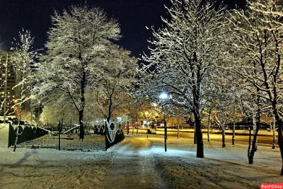 Фотография зимнего вечера в городе 2024 года