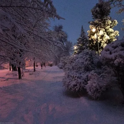 **Фото зимней ночи - загадочная атмосфера и красота**