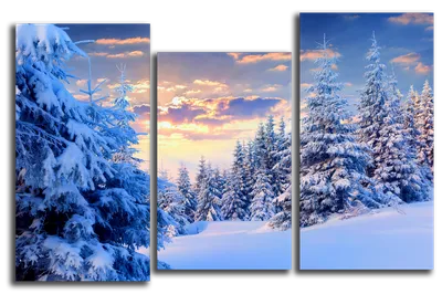 Зимний мир в объективе фотографа: Изысканные картины природы