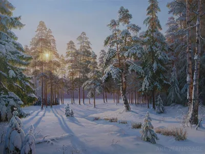 Зимняя гармония: Фотографии зимних лесов и морозного утра