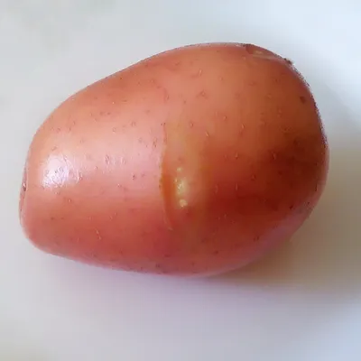 Уникальное изображение Картофель белая роза