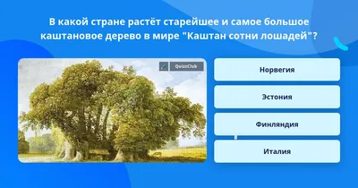 Рисунки и изображения каштановых деревьев на мак