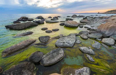 Фотоэкспозиция природной красоты Каспийского моря