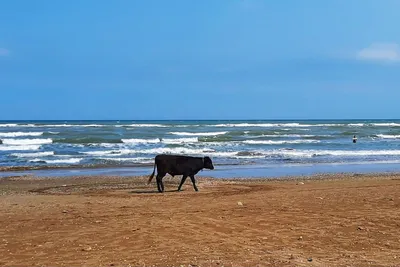 Незабываемые виды на Каспийское море в хорошем качестве