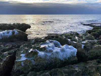 Раскраски небесно-голубого Каспийского моря в Казахстане