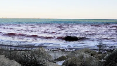 Прибрежные города и оазисы: фото Казахстанского побережья Каспийского моря