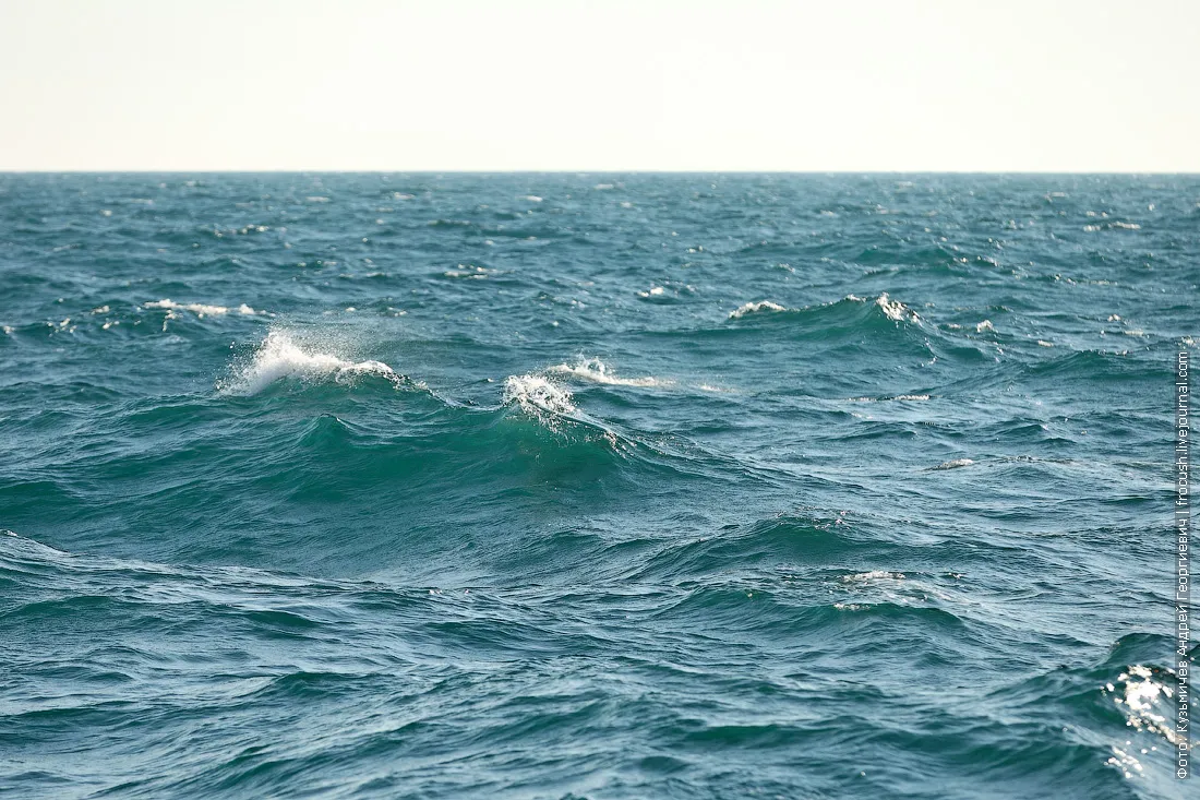 Море 3.3. Каспийское море. Открытое море. Каспийское море открытое море. Каспийское море фото.