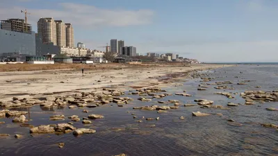 Историческое и естественное наследие Каспийского моря в Актау (фото)