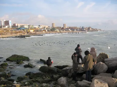 Изображения природы в актау: погрузитесь в морскую атмосферу