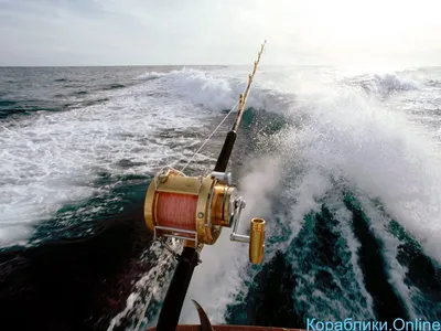 Фотографии, где катера и море создают неповторимое зрелище