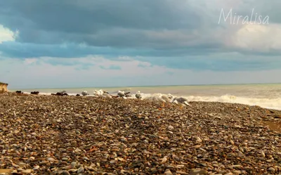 Фото Каткова щель пляж - скачать бесплатно в формате PNG