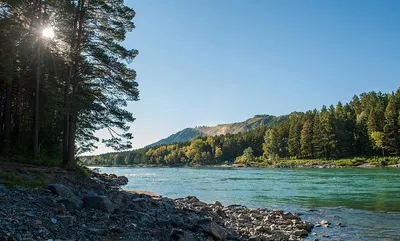 Волшебство природы: Фотографии реки Катунь