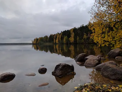 Фото Кавголовского озера в разных размерах и форматах