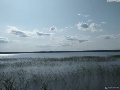 Удивительные пейзажи Кавголовского озера на фото