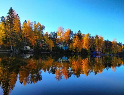 Фотографии Кавголовского озера: встреча природы и гармонии