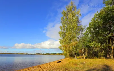 Картинка Кавголовского озера на андроид бесплатно