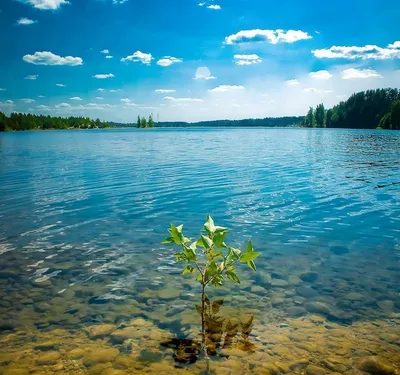 Фотка Кавголовского озера в Full HD для iOS