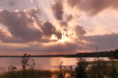 Изумительные фото Кавголовского озера на ваш выбор