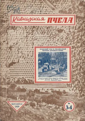 Фотографии Кавказской пчелы: искусство природы