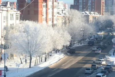 Хабаровск зимой: Великолепные моменты в формате JPG