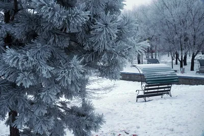 Фотки зимнего Хабаровска: Погружение в атмосферу сезона