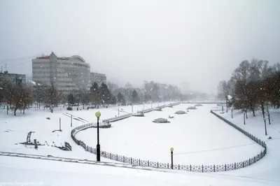 Изображения Хабаровска зимой: выбор формата WebP