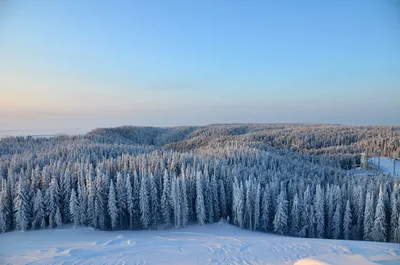 Зимние контрасты: Изображения Ханты-Мансийска на ваш выбор