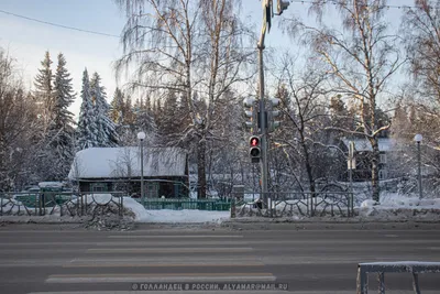 Зимние краски севера: Ханты-Мансийск в картинках