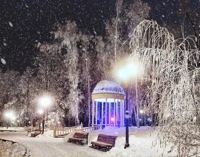 Фотоальбом Харькова: Зимние переливы и оттенки