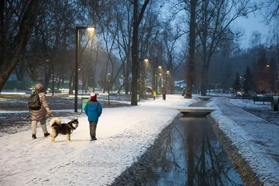 Зимнее фотоискусство: Великолепие Харькова на ваш выбор