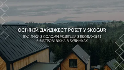 Изображения Хауси: кошки в разных позах и ракурсах