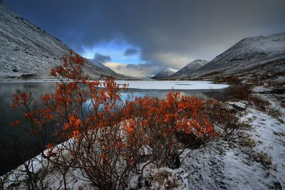 Ледяные чудеса Хибин зимой: загрузите фото в JPG, PNG или WebP