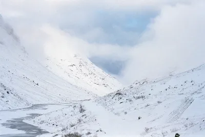 Зимний пейзаж Хибин: настроить размер и скачать в выбранном формате