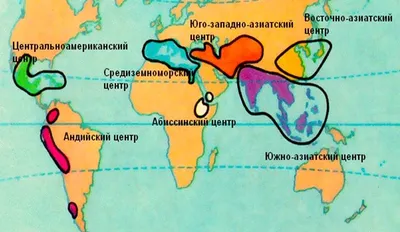 Фон хинного дерева: создайте атмосферу спокойствия